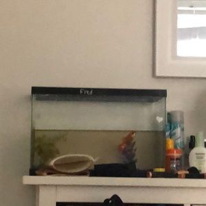 Meet your Posher, Maddy